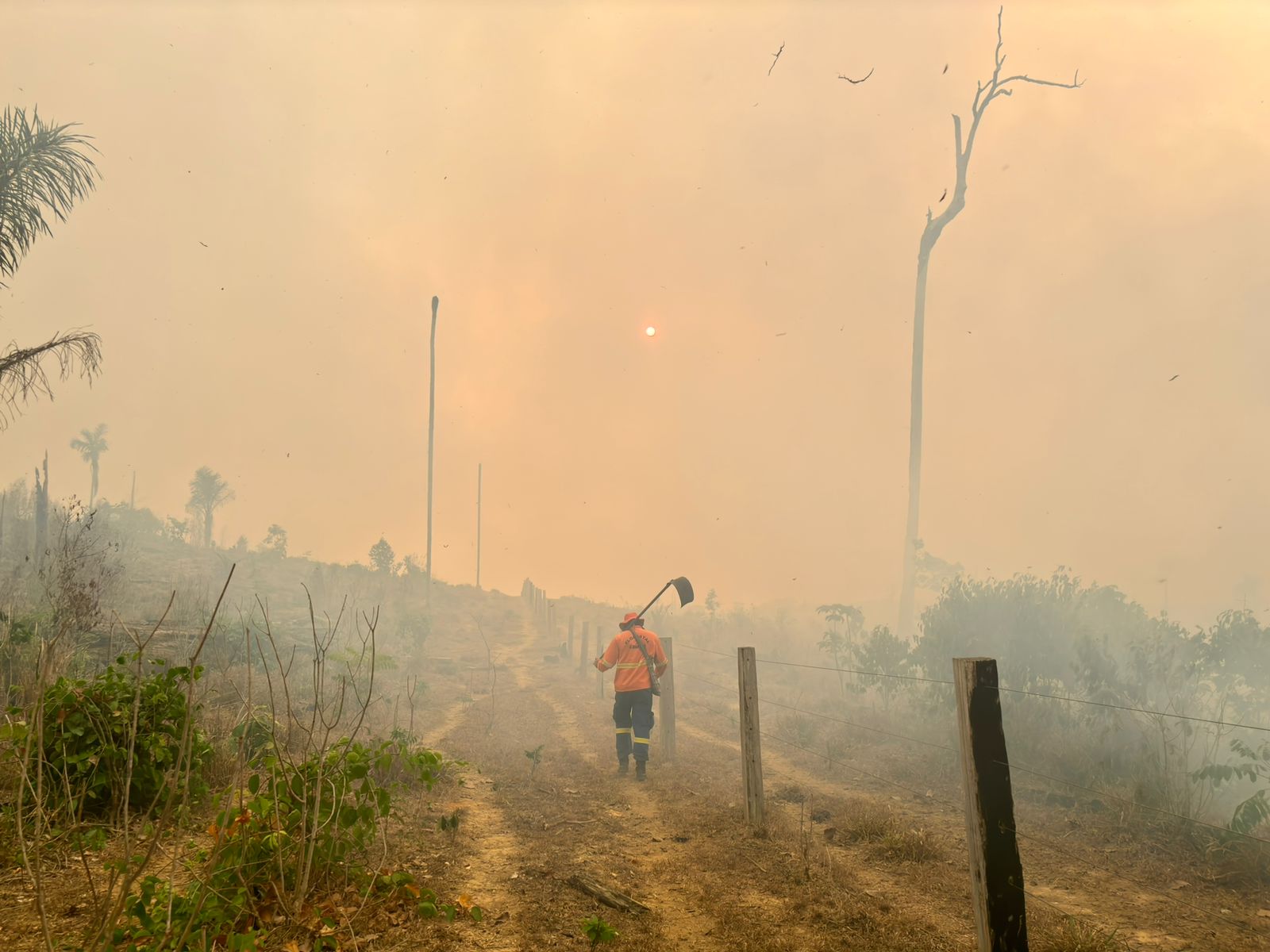 CORPO DE BOMBEIROS MILITAR DE RONDÔNIA INTENSIFICA AÇÕES NO PARQUE ESTADUAL DE GUAJARÁ-MIRIM PARA COMBATE A INCÊNDIO
