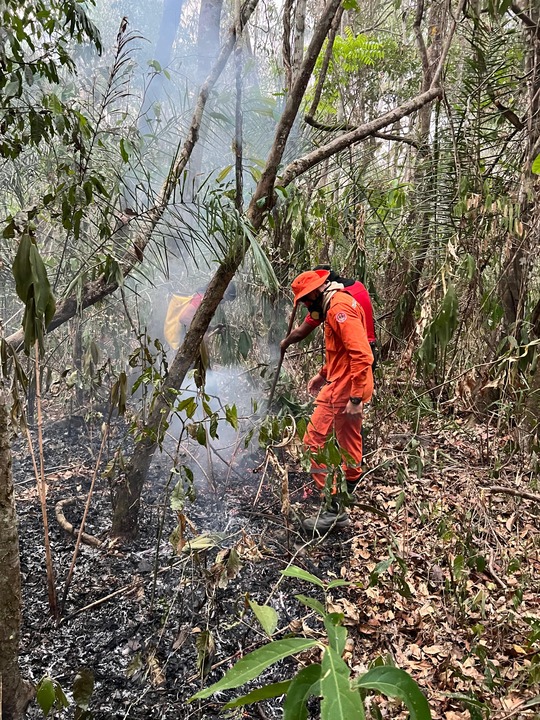 Força-tarefa foi composta por sete bombeiros militares