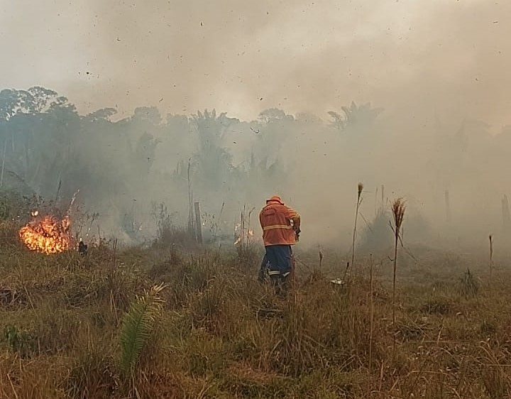PARQUE ESTADUAL DE GUAJARÁ-MIRIM