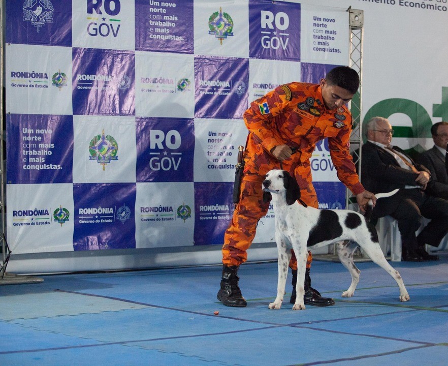 CANIL DO CBMRO BRILHA NA 2ª FEIRA PET COM DESTAQUE PARA O CÃO DE BUSCA IVAR
