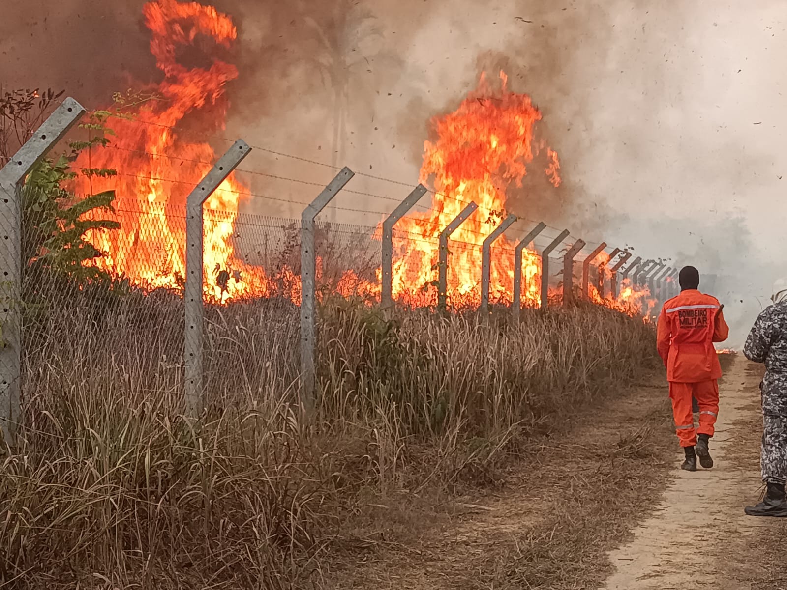 CORPO DE BOMBEIROS MILITAR DE RONDÔNIA DIVULGA DADOS DA OPERAÇÃO VERDE RONDÔNIA E ALERTA SOBRE QUEIMADAS